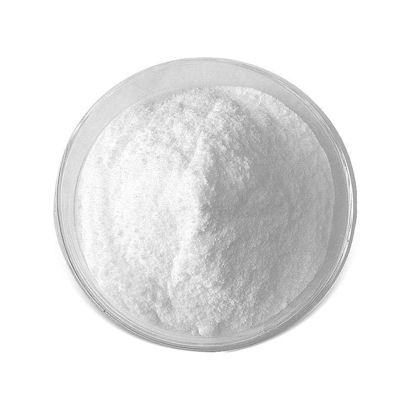 &lt;trp-post-container data-trp-post-id=&#039;837&#039;&gt;Premium PVA Solutions Durable Plastering Adhesive &#038; Cost-Effective&lt;/trp-post-container&gt;